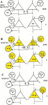 Fig. 12.