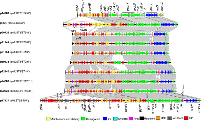 FIGURE 2