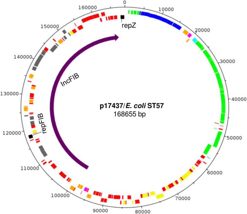 FIGURE 4