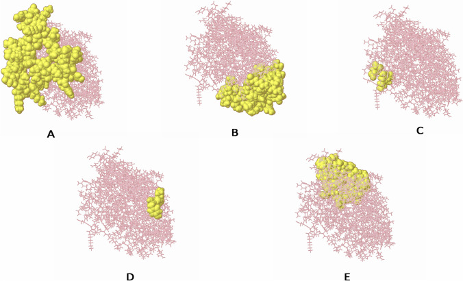 Fig. 7