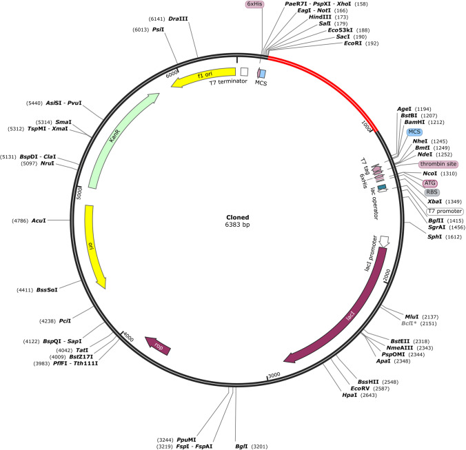 Fig. 10