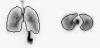 FIG. 1.