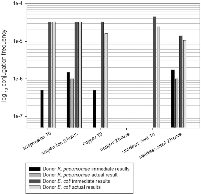 FIG 2