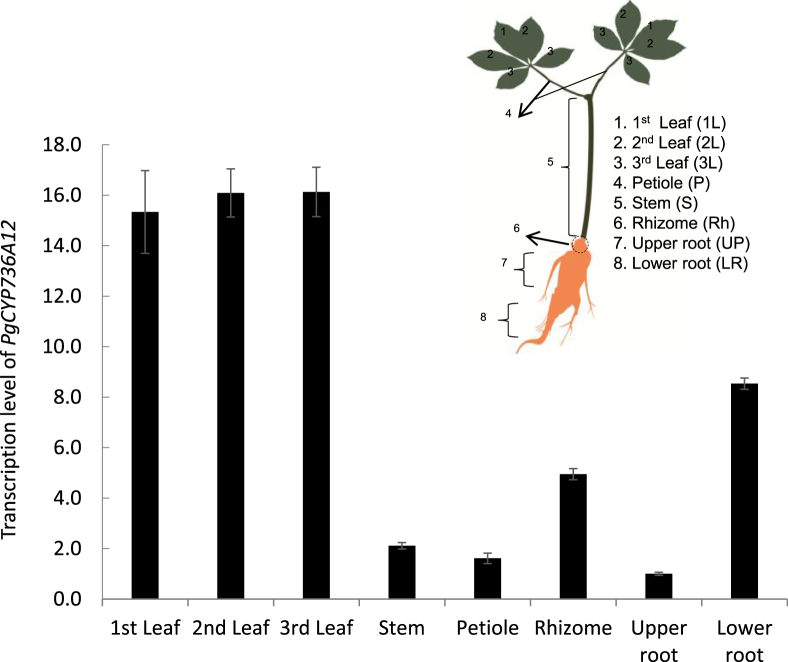 Fig. 2