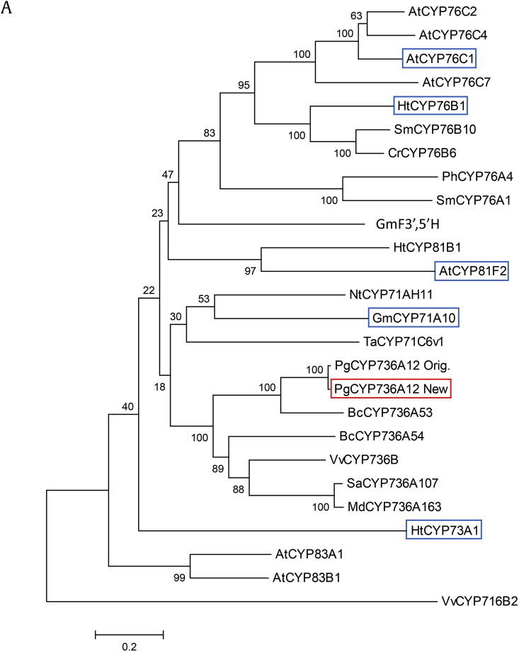 Fig. 1