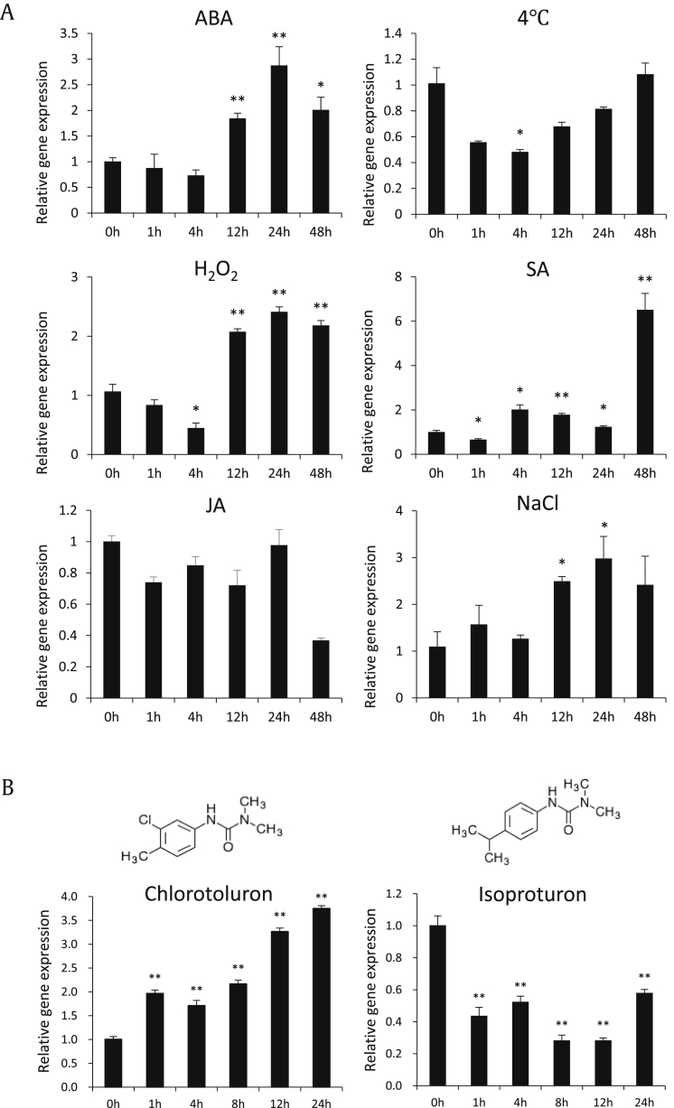 Fig. 3