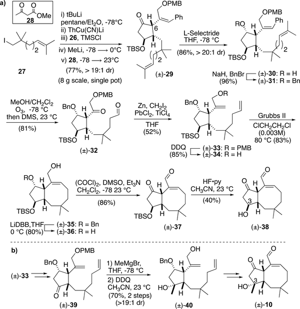 Scheme 3.