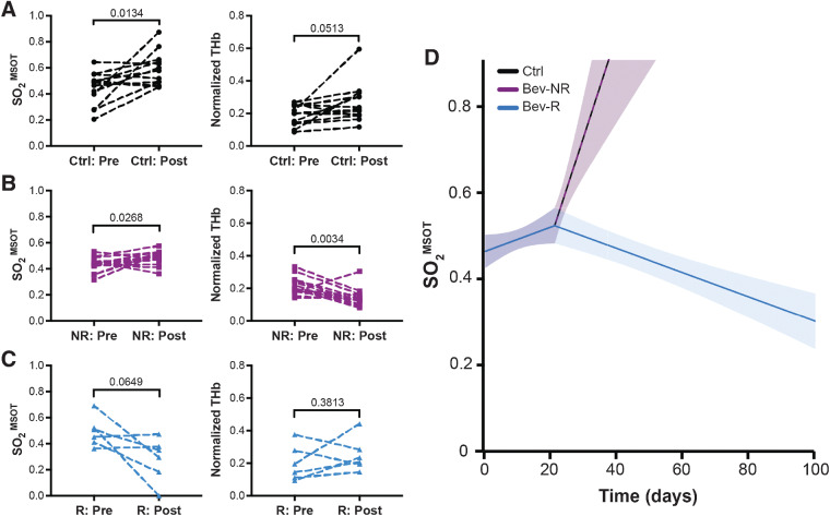 Figure 4. Longitudinal analysis demonstrates that PAT can be used to indicate survival benefit from bevacizumab therapy. Oxygenation (SO2MSOT) and normalized hemoglobin content (THb) increase from enrollment (noted as “pre”) to endpoint of tumor excision (noted as “post”) in the Ctrl group (A), while in the Bev-NR group (B), SO2MSOT increases concurrently with a decrease in normalized THb. Conversely, the Bev-R group (C) trend toward a significant decrease in SO2MSOT, with no significant change in normalized THb observed. D, Estimated SO2MSOT level as a function of time (number of days from enrollment) and group (color). Trendlines shown alone for clarity; individual tumor trajectories shown in Supplementary Fig. S5. Ctrl tumor data parallel Bev-NR data. Analysis of SO2MSOT over time during the study shows a significant (P < 0.0001) change in slope at 3 weeks after enrollment in the Bev-R group compared with either of the Ctrl or Bev-NR groups. Ctrl ntumors = 14 and nmice = 8, Bev-NR ntumors = 14 and nmice = 8, Bev-R ntumors = 6 and nmice = 3; P values are displayed from two-sided paired Student t tests are displayed; shaded areas in D denote the 95% pointwise confidence bounds for the average.