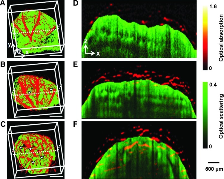 FIG. 3.