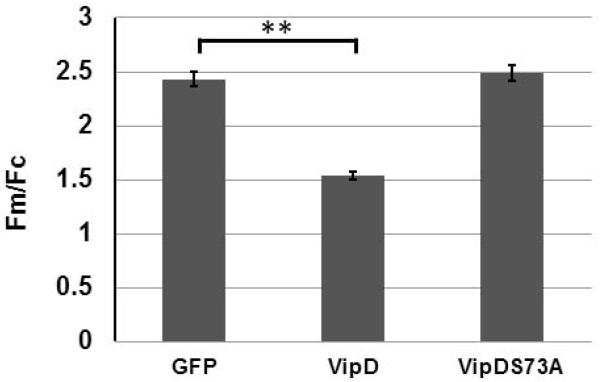 Fig. 4