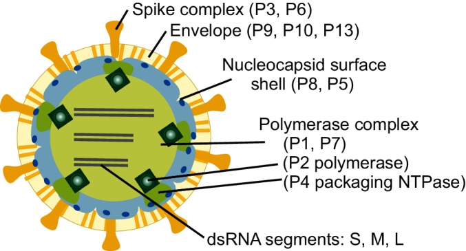 Fig. 1.