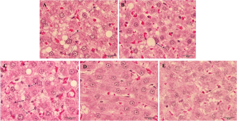 Fig. 5