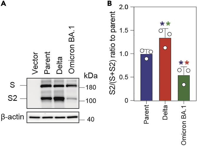 Figure 5