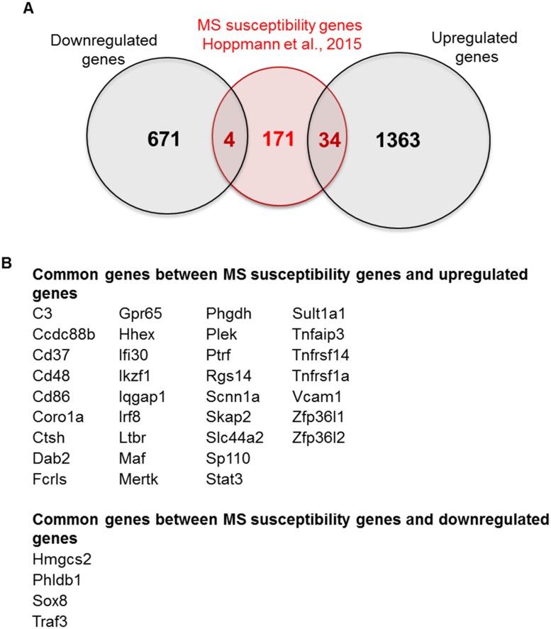 Fig 7