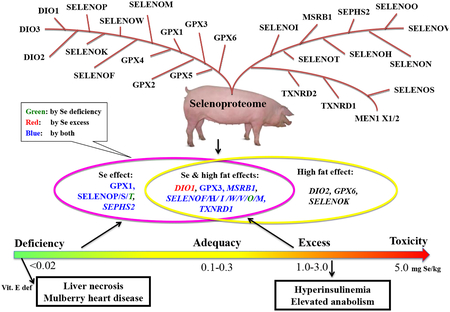 graphic file with name nihms-966363-f0001.jpg