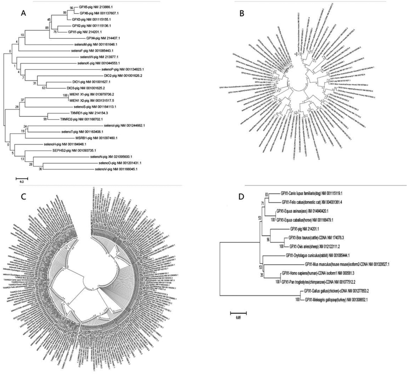 Figure 2.