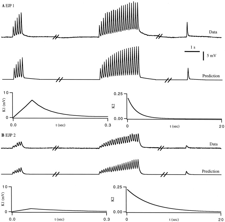 Fig. 10.