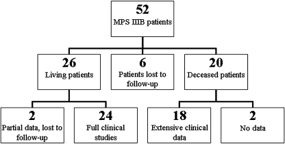 Fig. 1