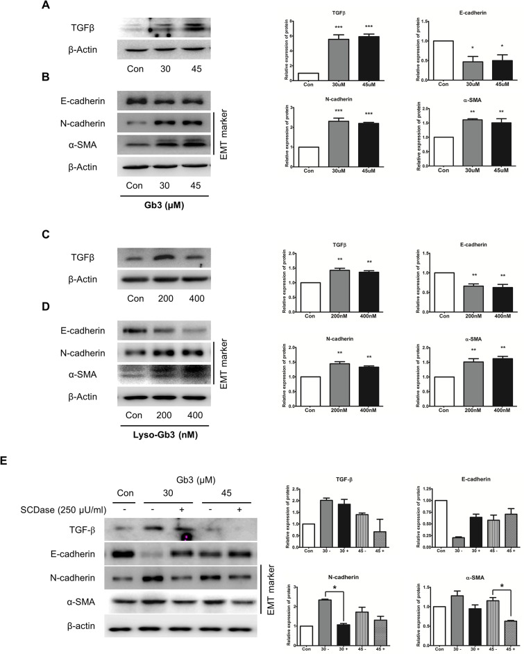 Fig 8