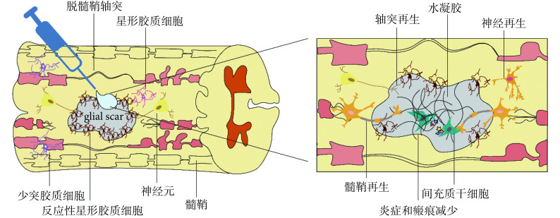 图 1