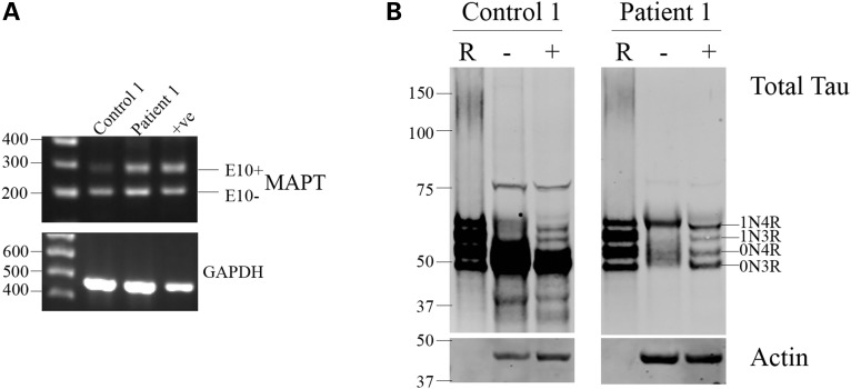 Figure 5.