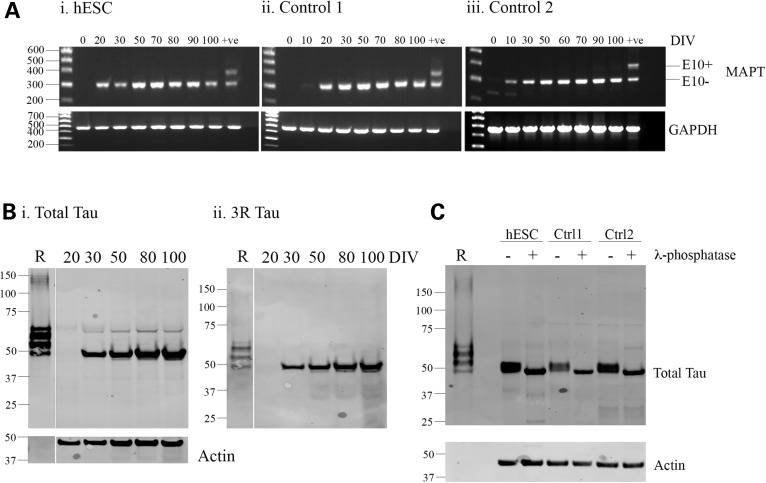 Figure 2.