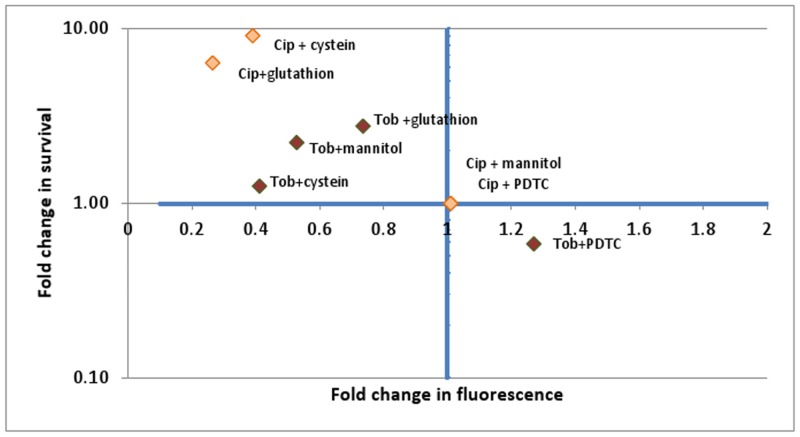 Fig 7