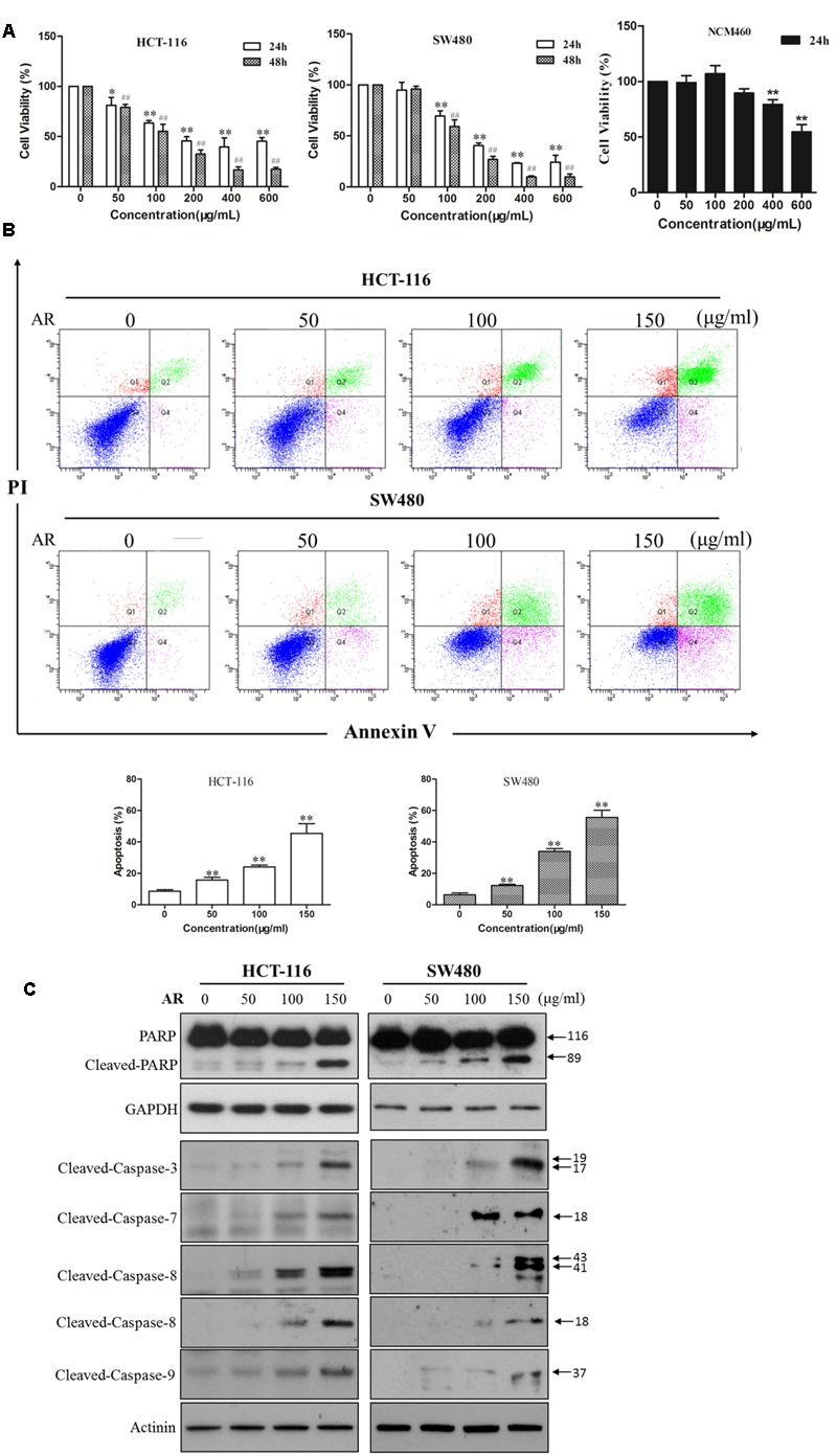 FIGURE 1