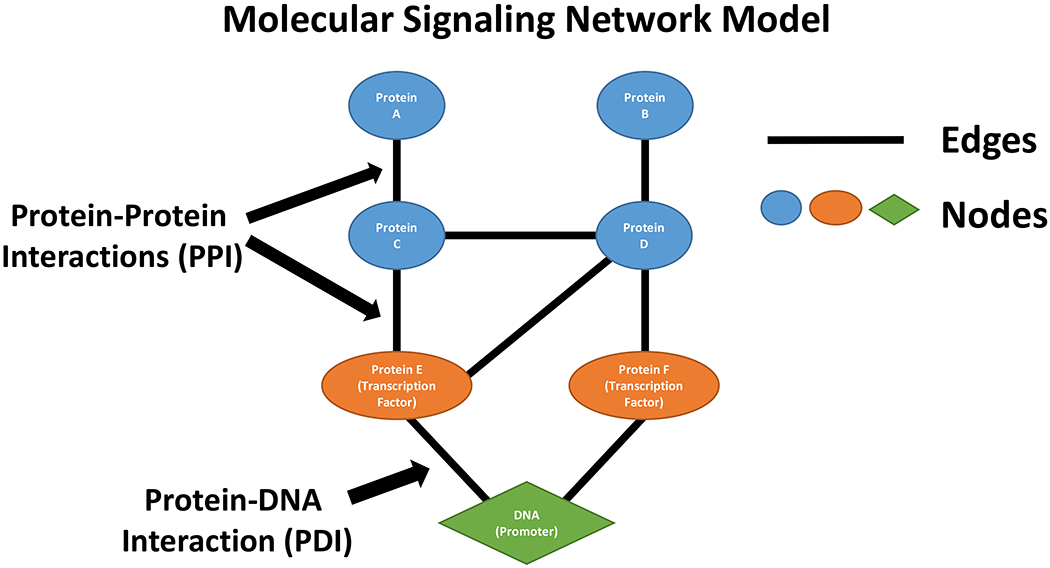 Figure 5: