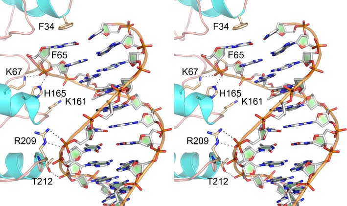 Figure 7.