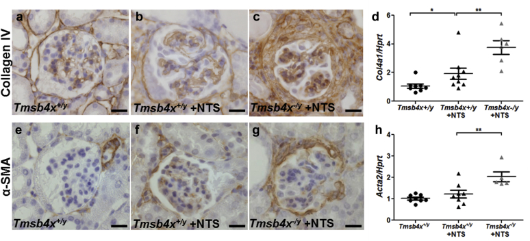 Figure 7