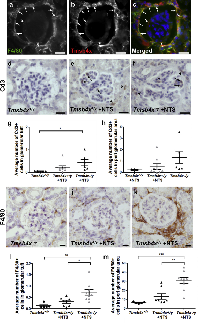 Figure 6