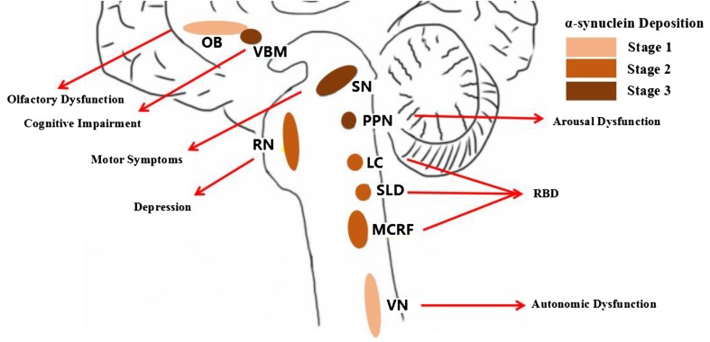 Fig. 1