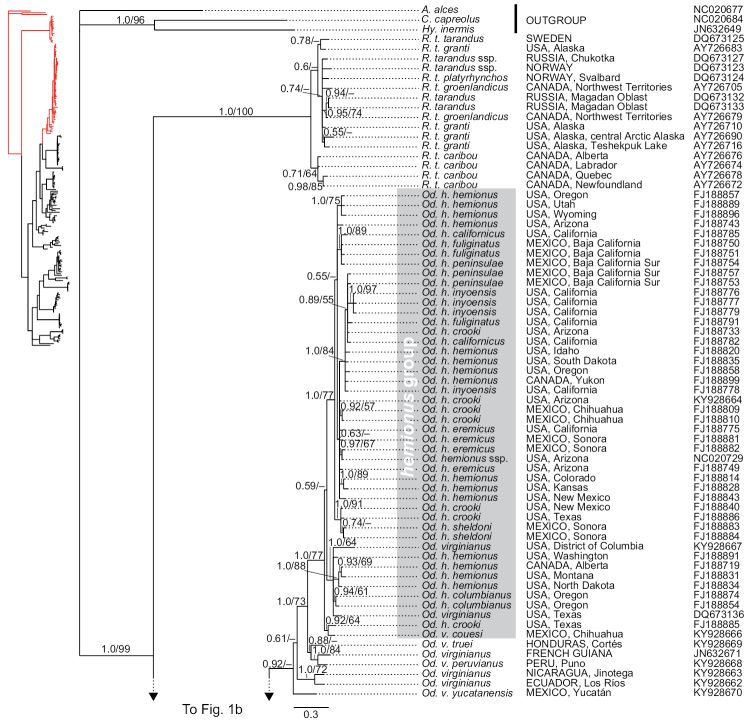 Figure 1a.