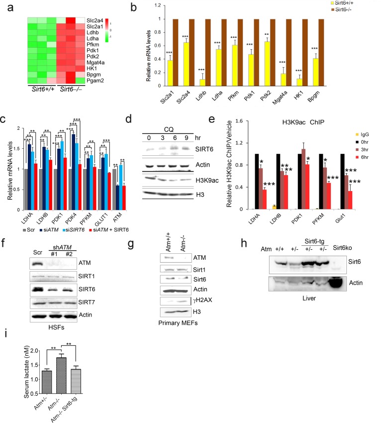 Figure 2—figure supplement 2.