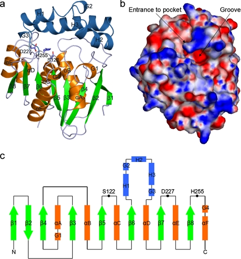 FIGURE 2.