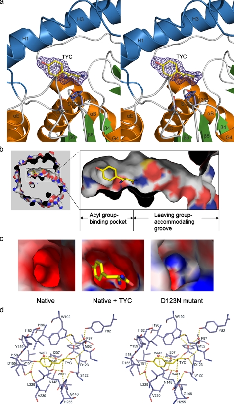 FIGURE 4.