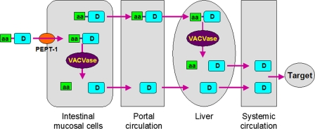 FIGURE 5.