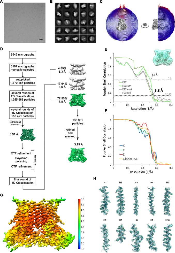 Figure 2—figure supplement 2.