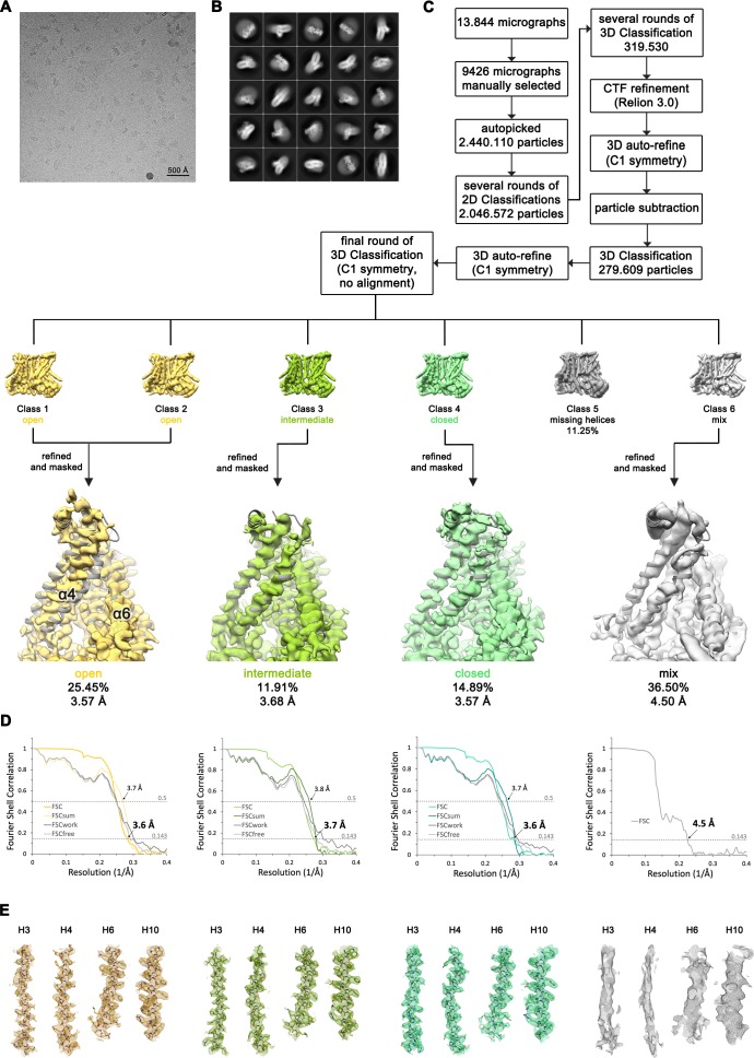 Figure 3—figure supplement 1.