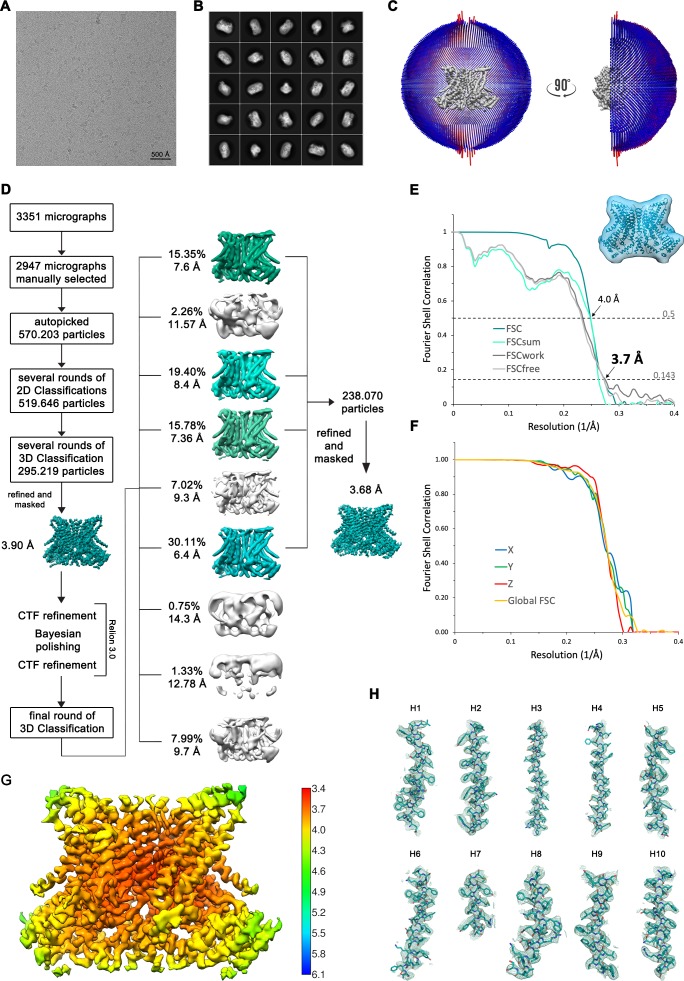 Figure 1—figure supplement 3.