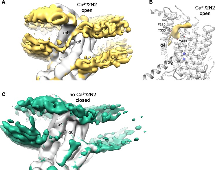 Figure 3—figure supplement 3.