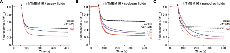 Figure 1—figure supplement 1.