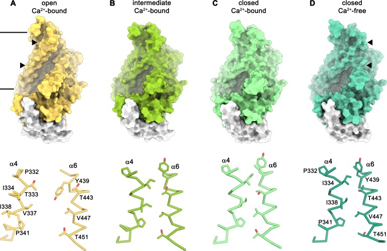 Figure 4.