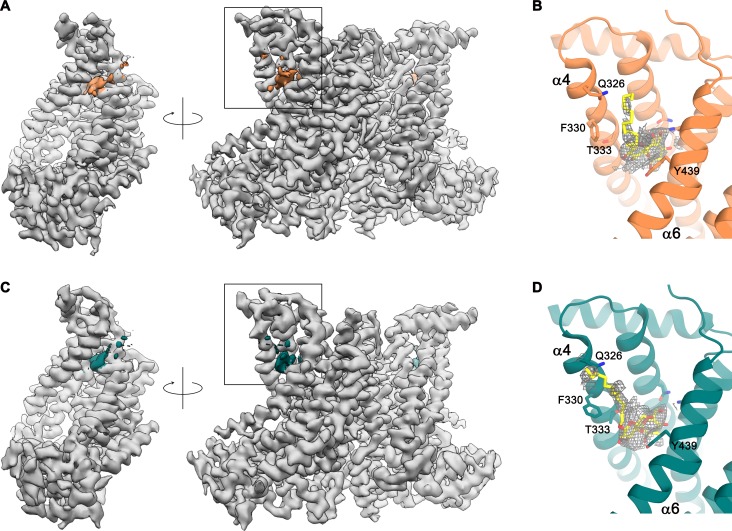 Figure 1—figure supplement 5.