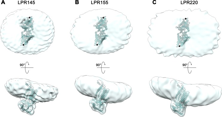 Figure 2—figure supplement 1.