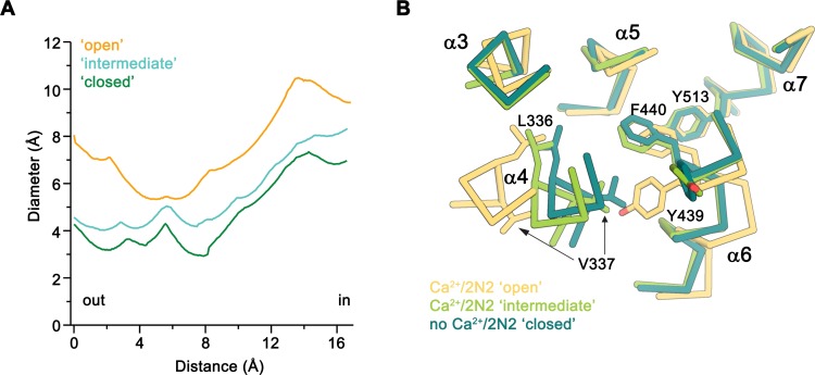 Figure 5—figure supplement 1.