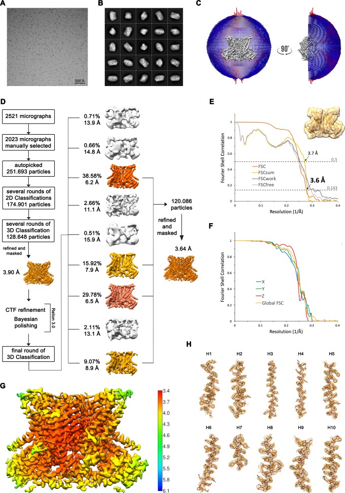 Figure 1—figure supplement 2.