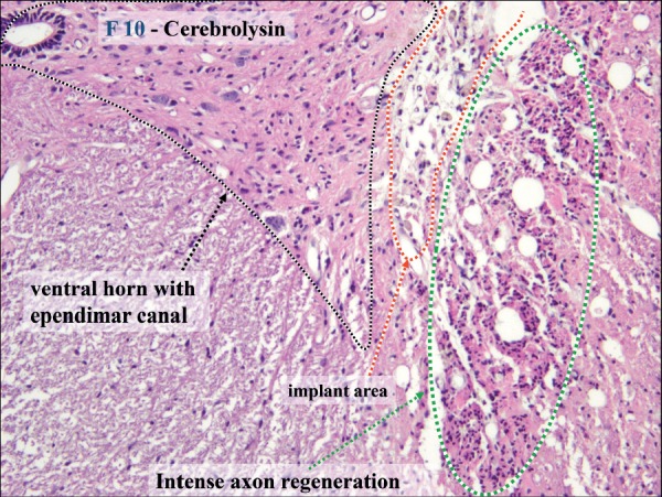 Figure 6: