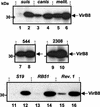 FIG. 7.